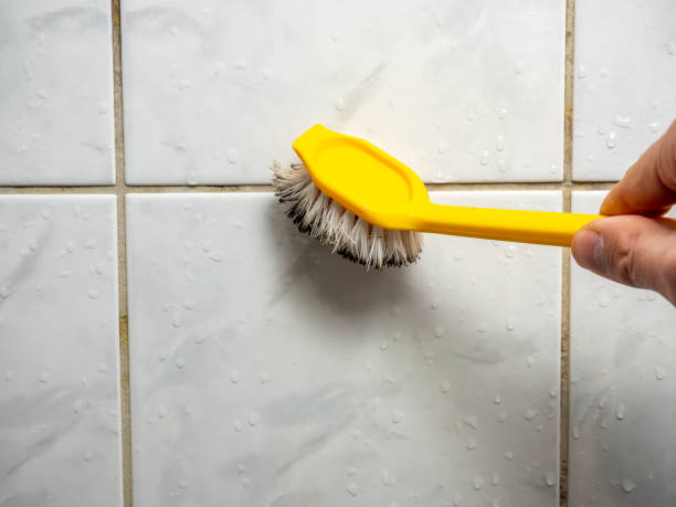 Best Emergency Mold Removal  in Phoenix, IL