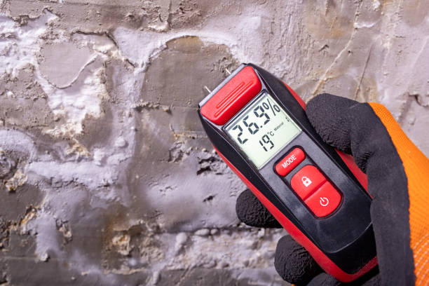 Best Best Mold Removal Companies  in Phoenix, IL