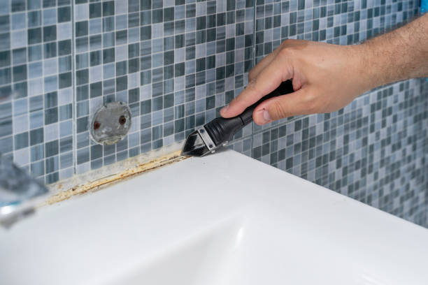 Professional Mold Removal in Phoenix, IL