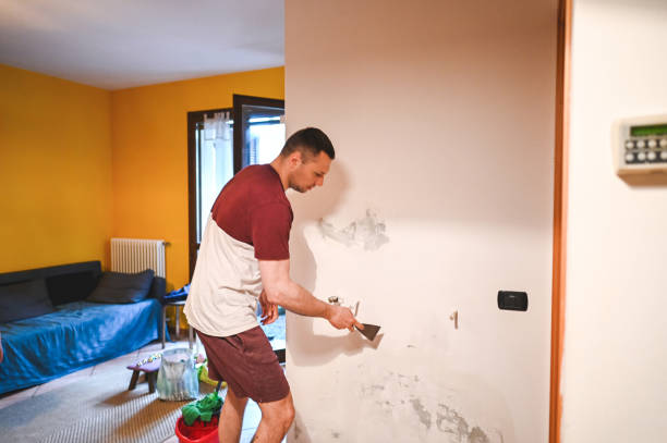 Best Home Mold Removal  in Phoenix, IL